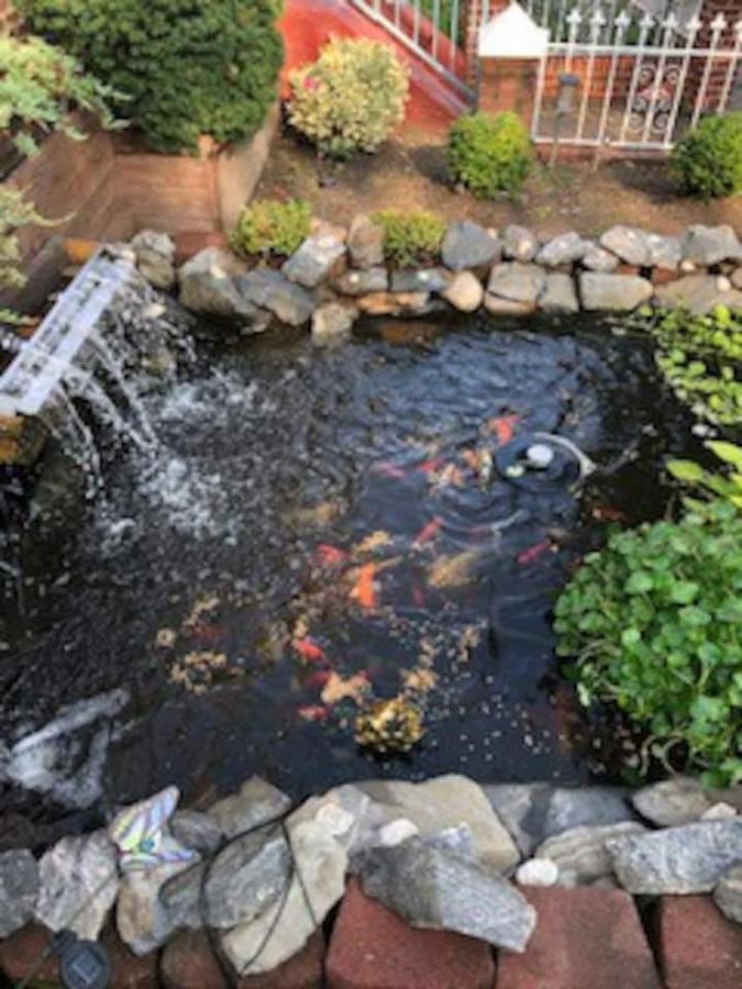 Beautiful Brooklyn Koi-Fish Pond-Garden Residence New York Exterior photo